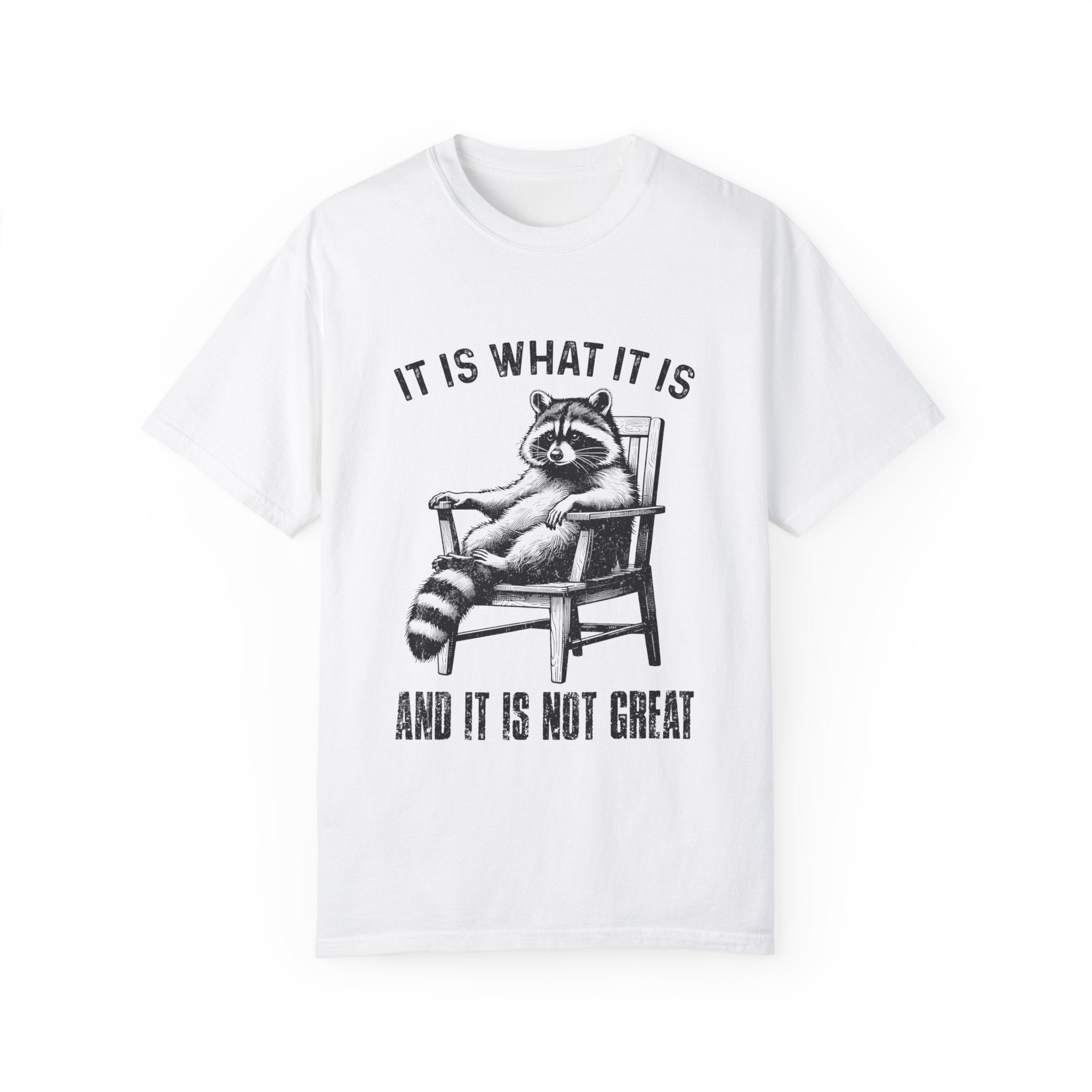 "It Is What It Is" T-shirt