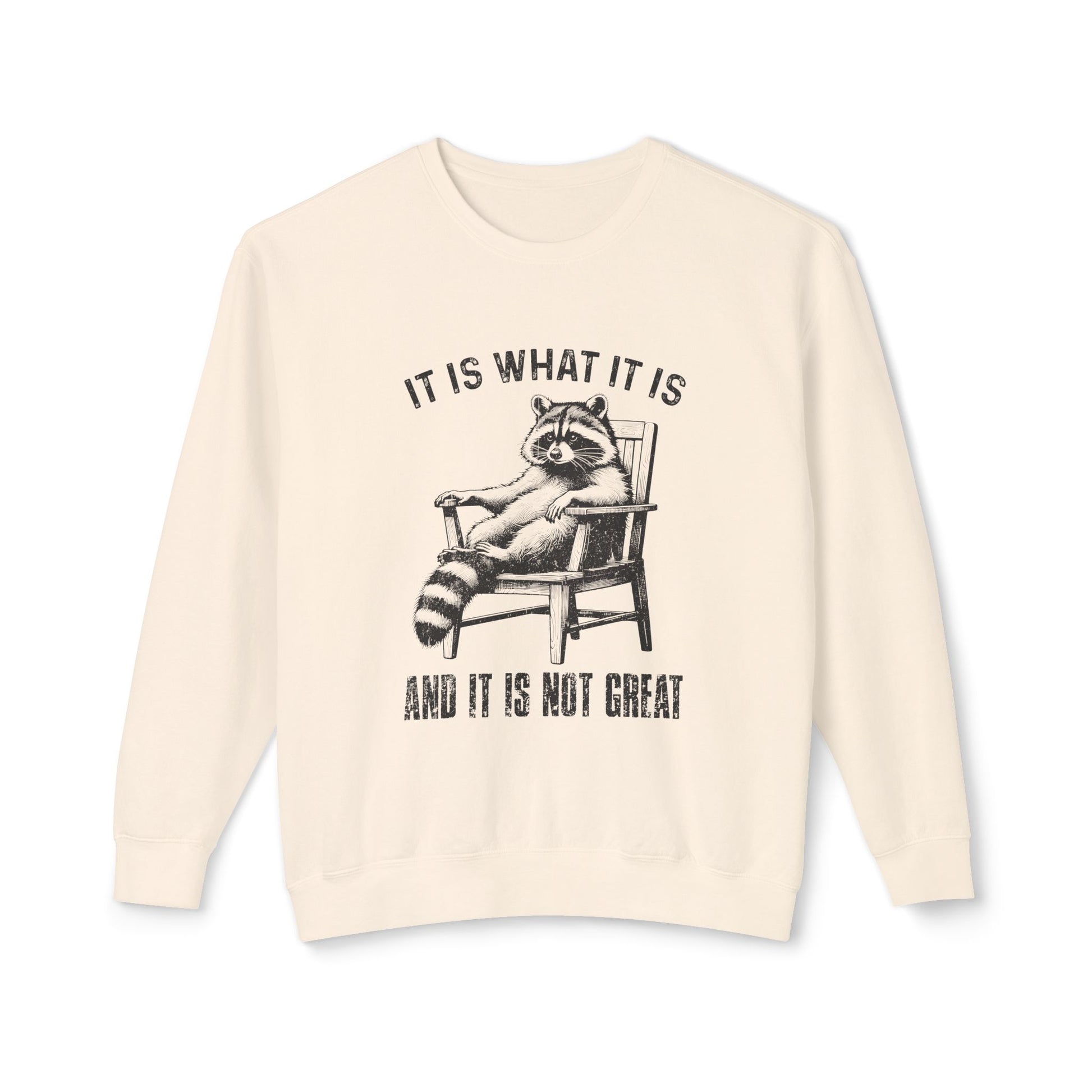 &quot;It Is What It Is&quot; Sweatshirt
