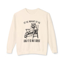&quot;It Is What It Is&quot; Sweatshirt