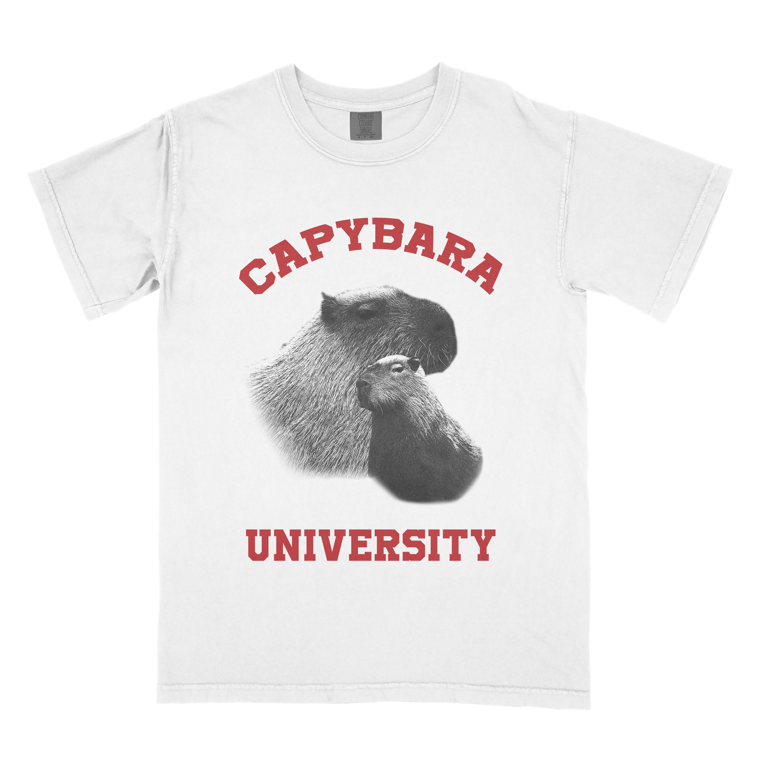 "Capybara University" TShirt Buy online at Penkmatters