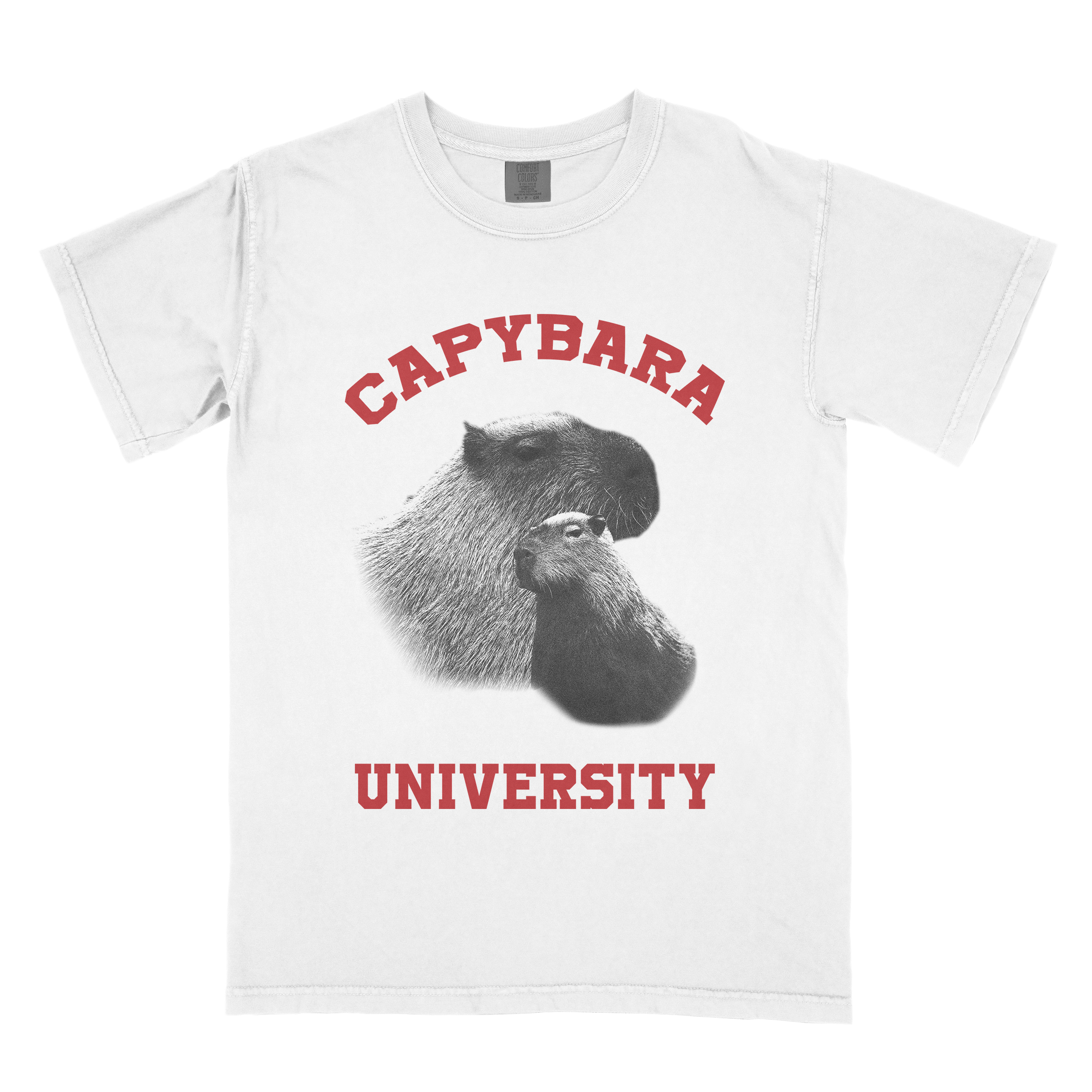 "Capybara University" T-Shirt